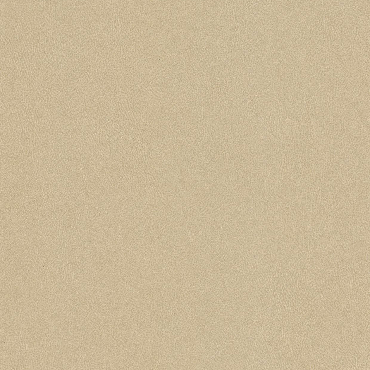 Cashmere - NE42 Cashmere - NE42