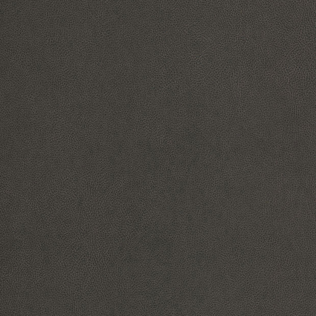 Truffle - NE40 Truffle - NE40