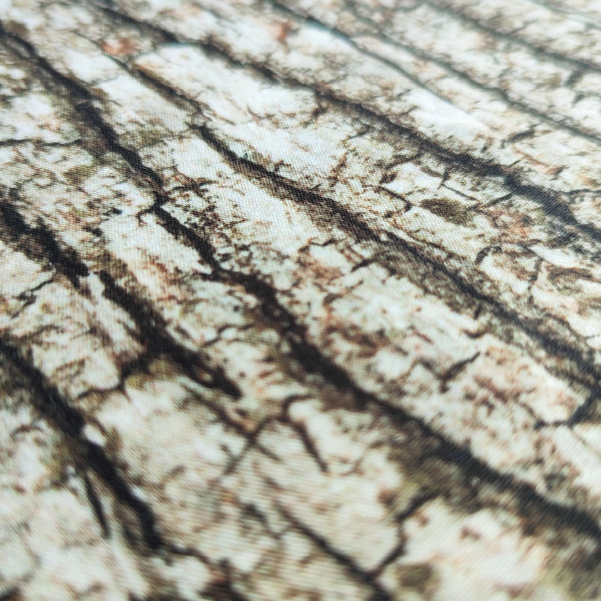 light_oak_02