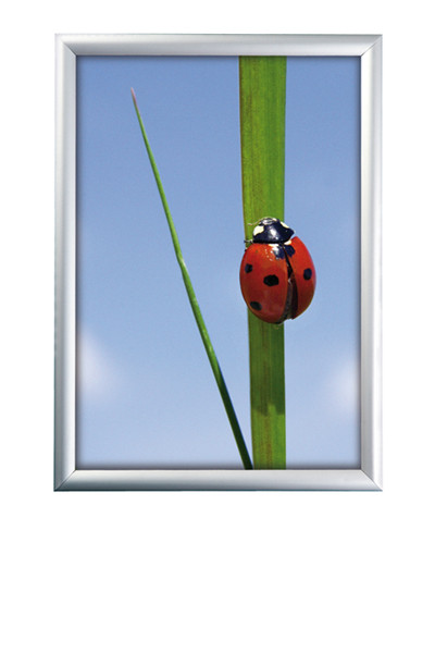 4742-snapframe-50x70 Alu Klapprahmen 25mm - 50x70cm - Maxi-Set