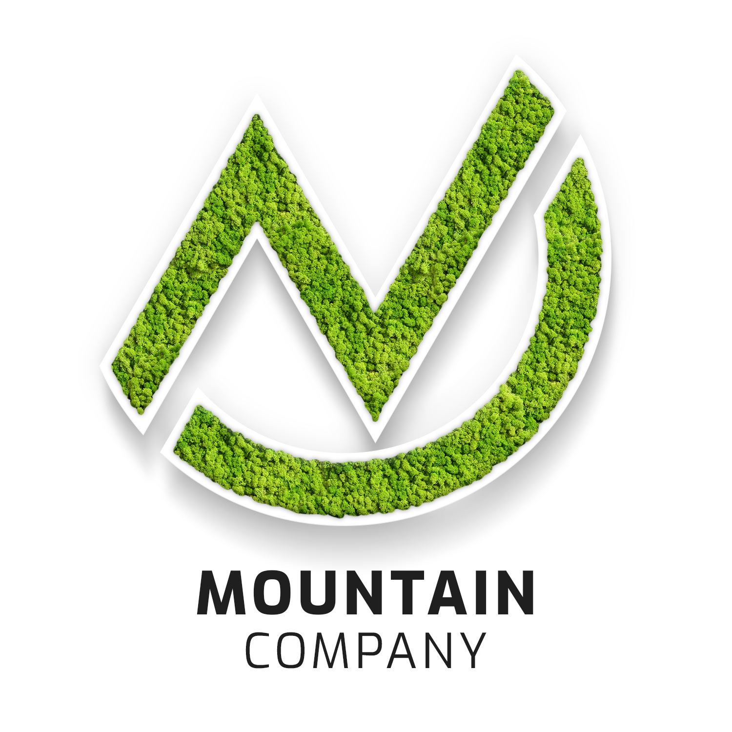 weiss_logo_moutain_company