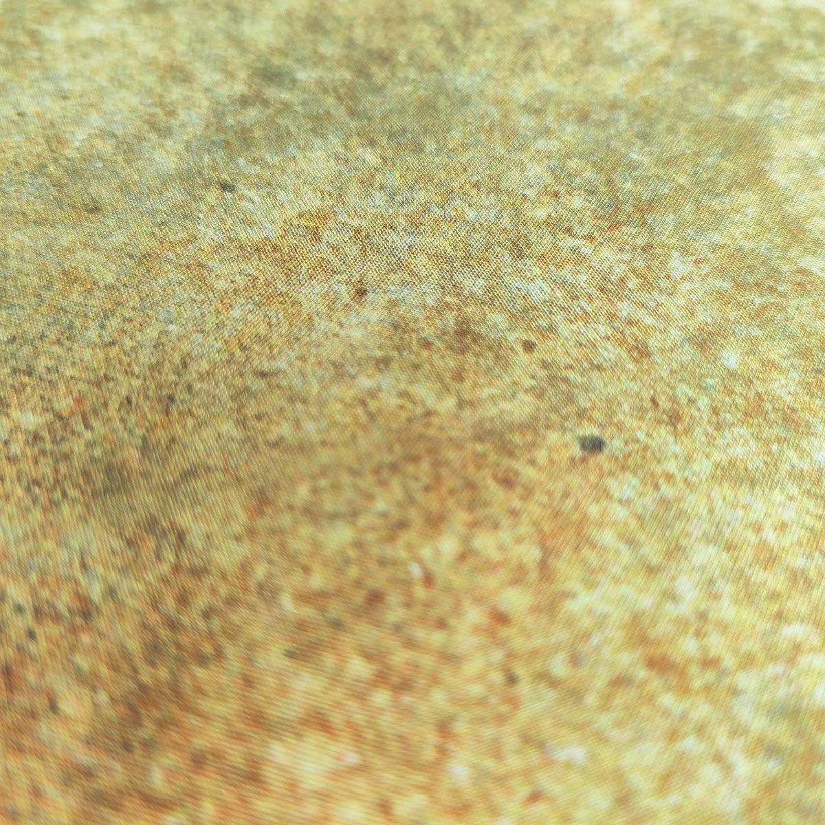 desert_02