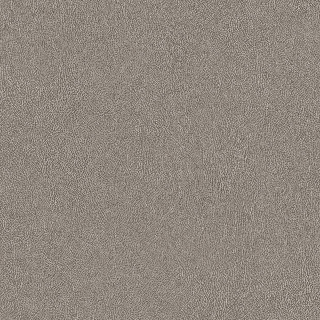 Cashmere - NE41 Cashmere - NE41