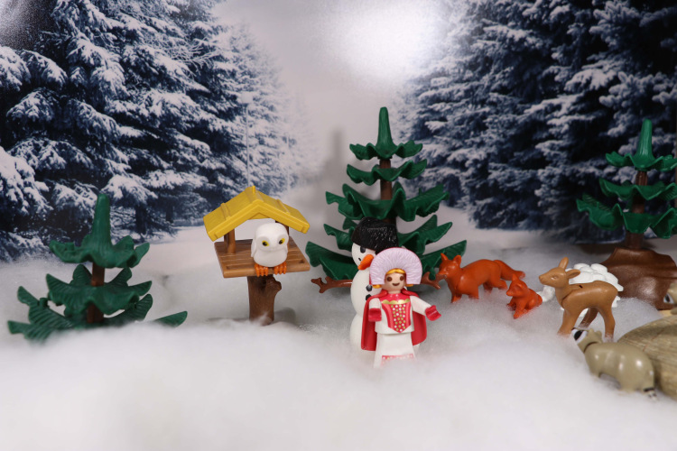 snow_04