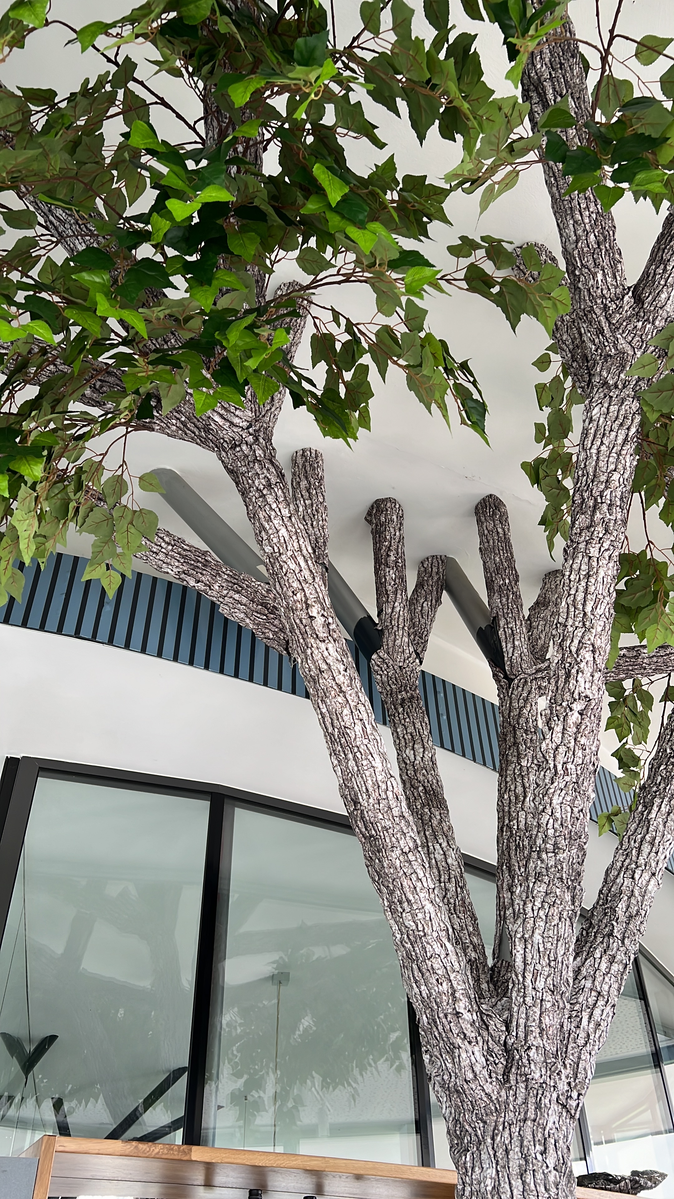 light_oak_05