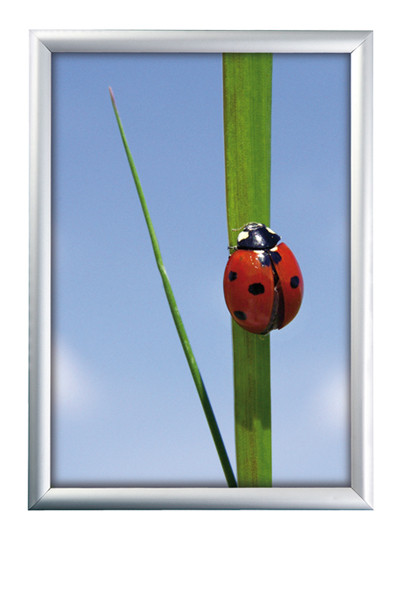 4730-snapframe-a1 Alu Klapprahmen 25mm - 70x100cm - Maxi-Set
