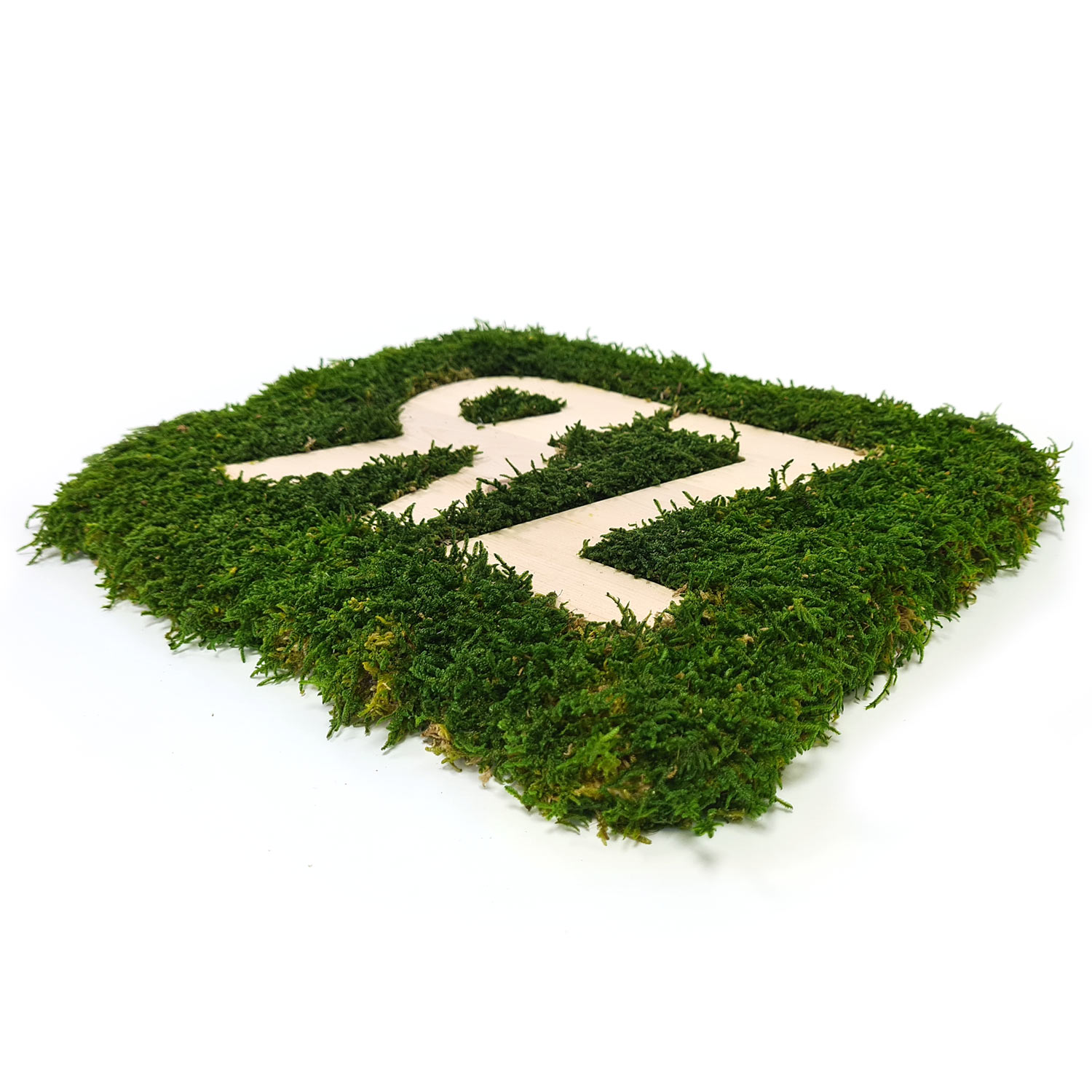 waldmoos_logo_neg_03