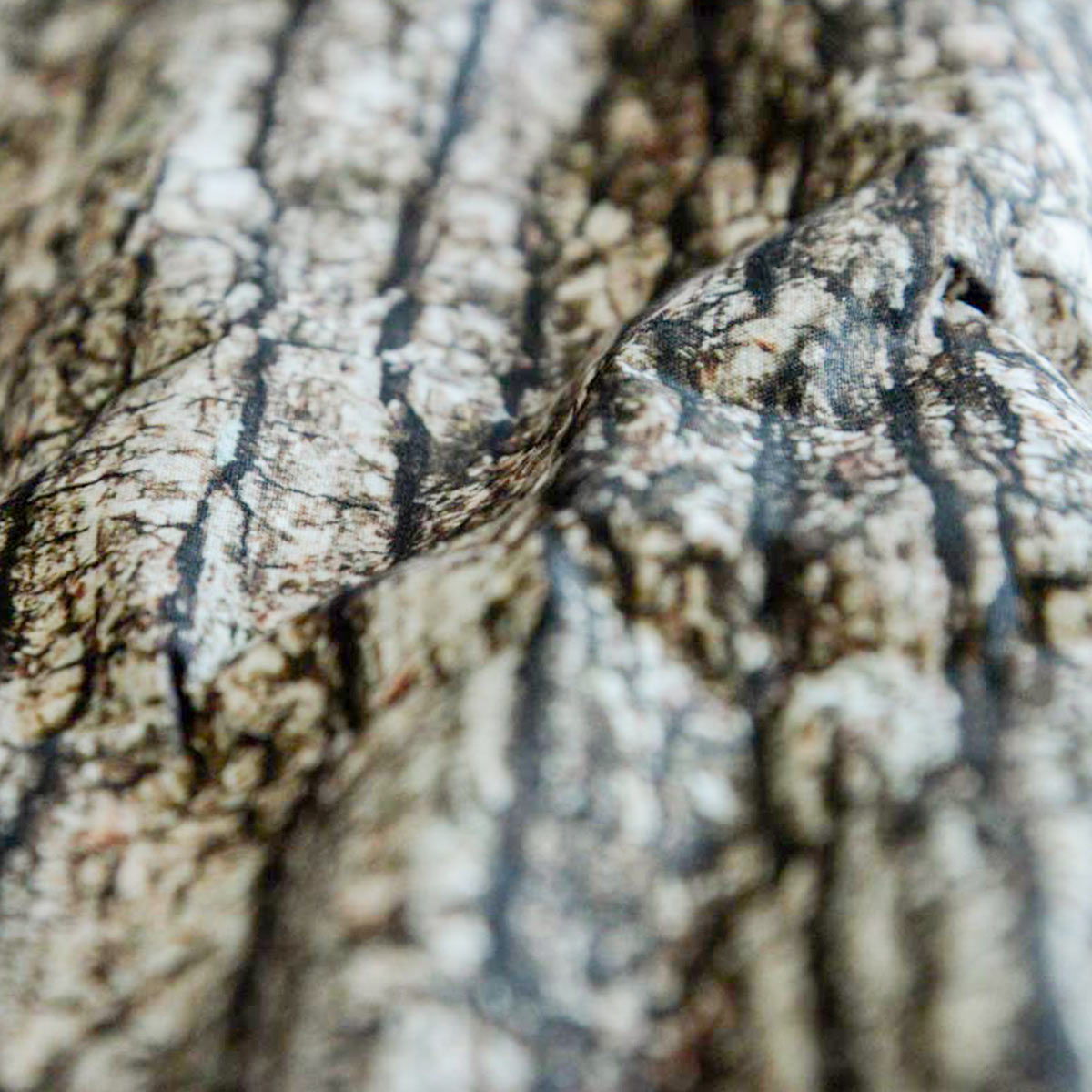 light_oak_03