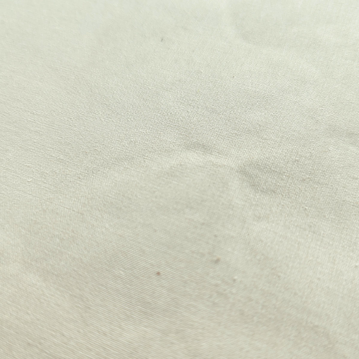 canvas_02