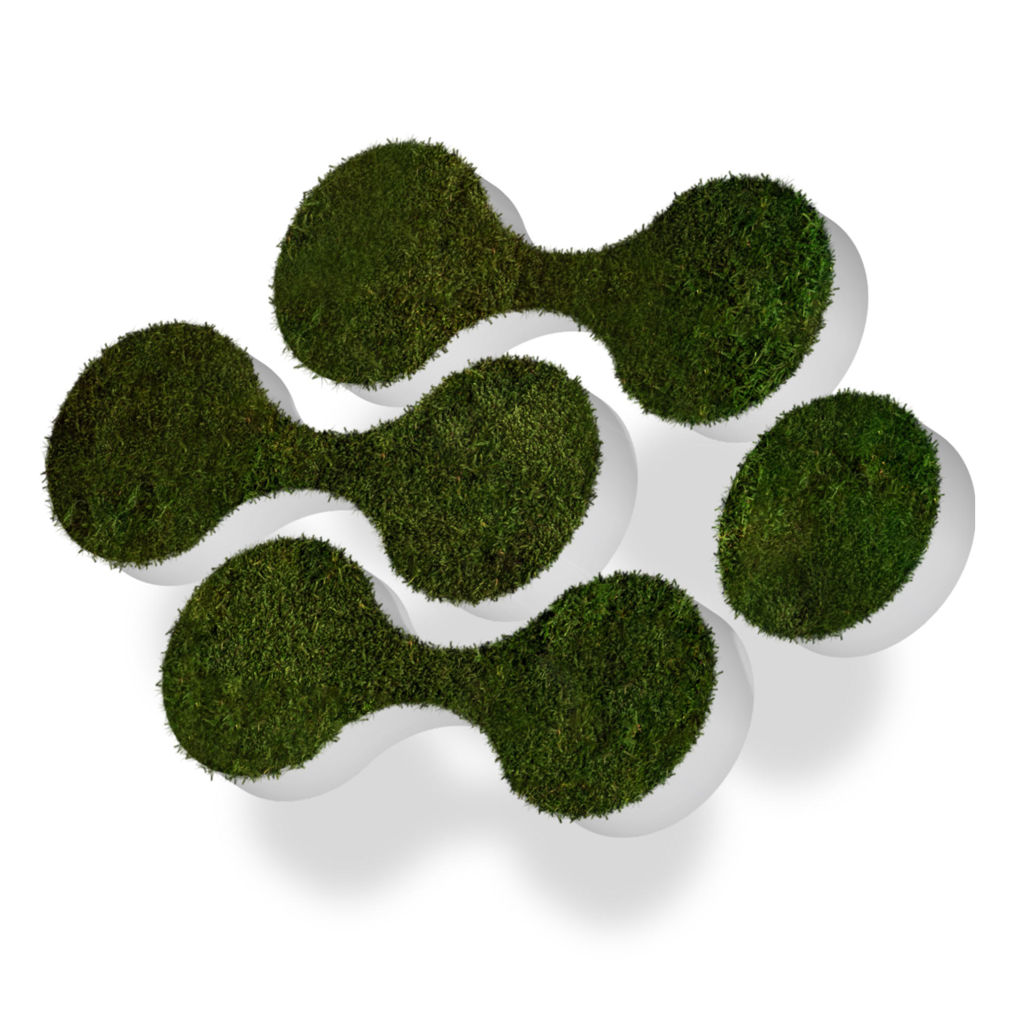 moosbuchstaben_logos_begruent_waldmoos_02