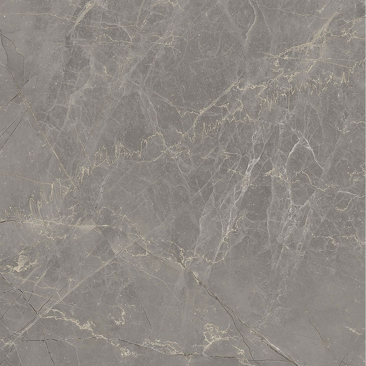 Etruscan Grey - NH46 Etruscan Grey - NH46