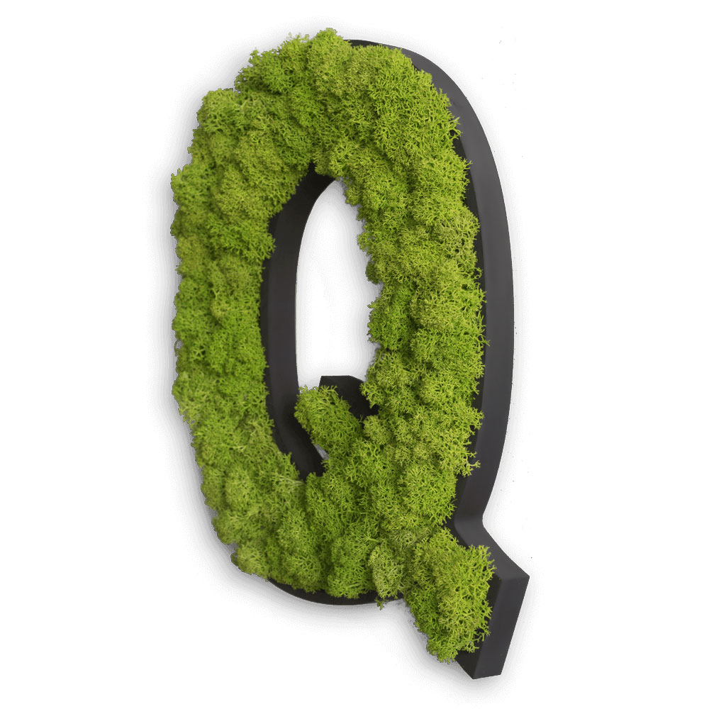 moosbuchstaben_logos_begruent_03