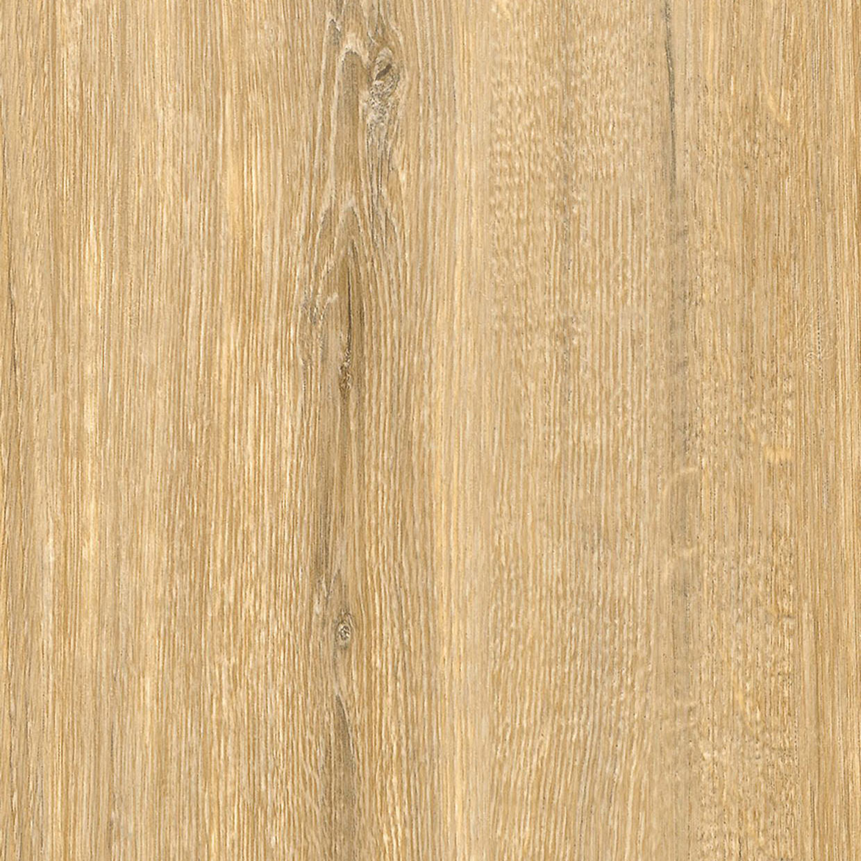 Bumpy Oak - CT82 Bumpy Oak - CT82