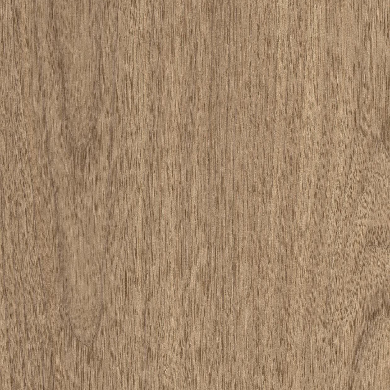 Walnut Oak - AF08 Walnut Oak - AF08