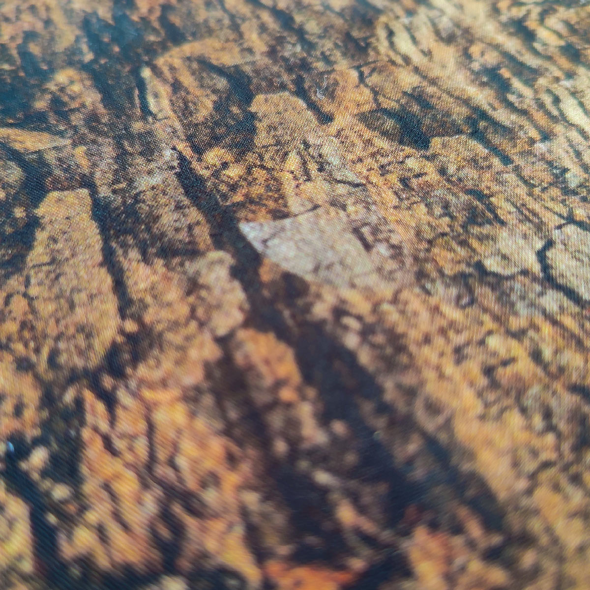 dark_oak_02