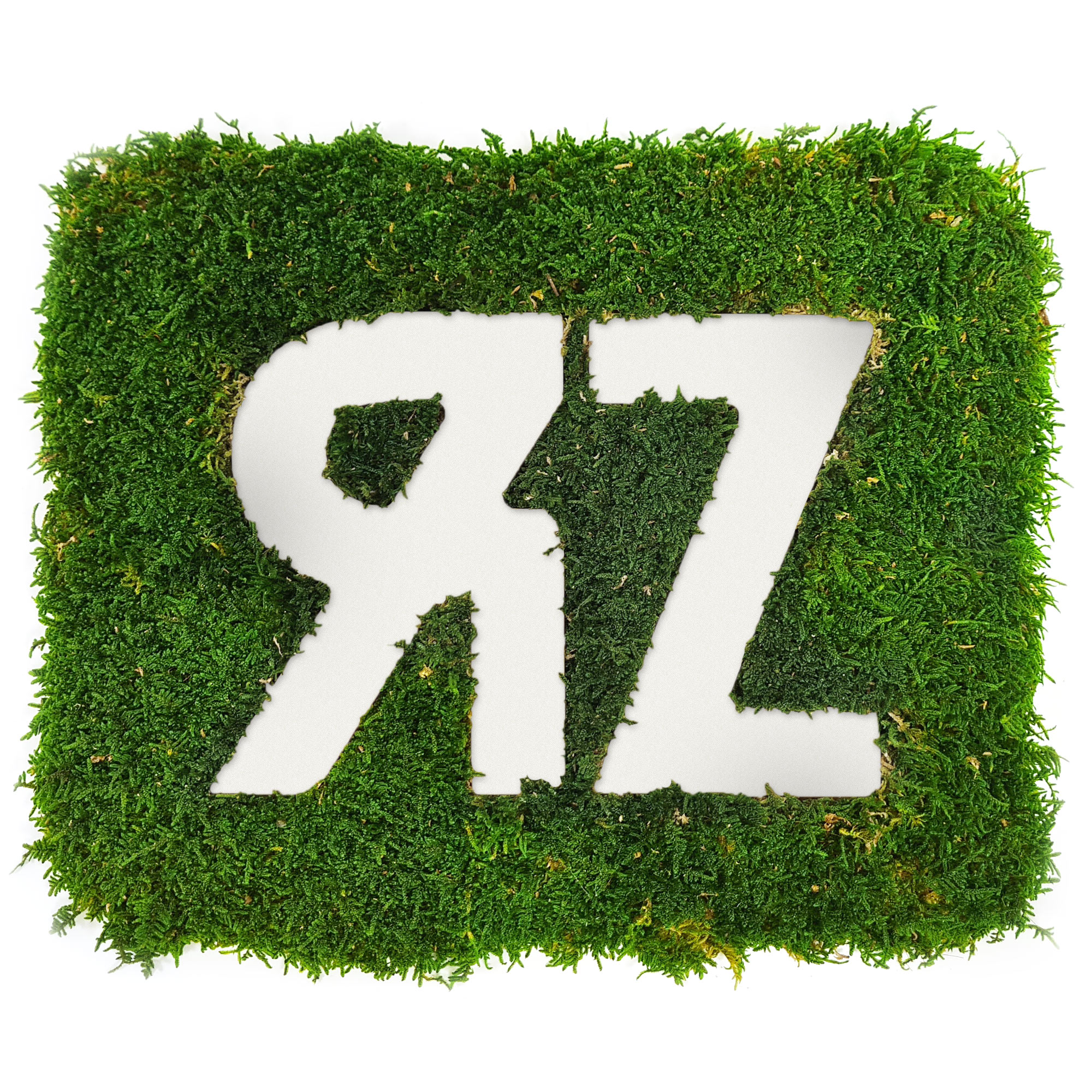 waldmoos_logo_neg_hartschaum_weiss