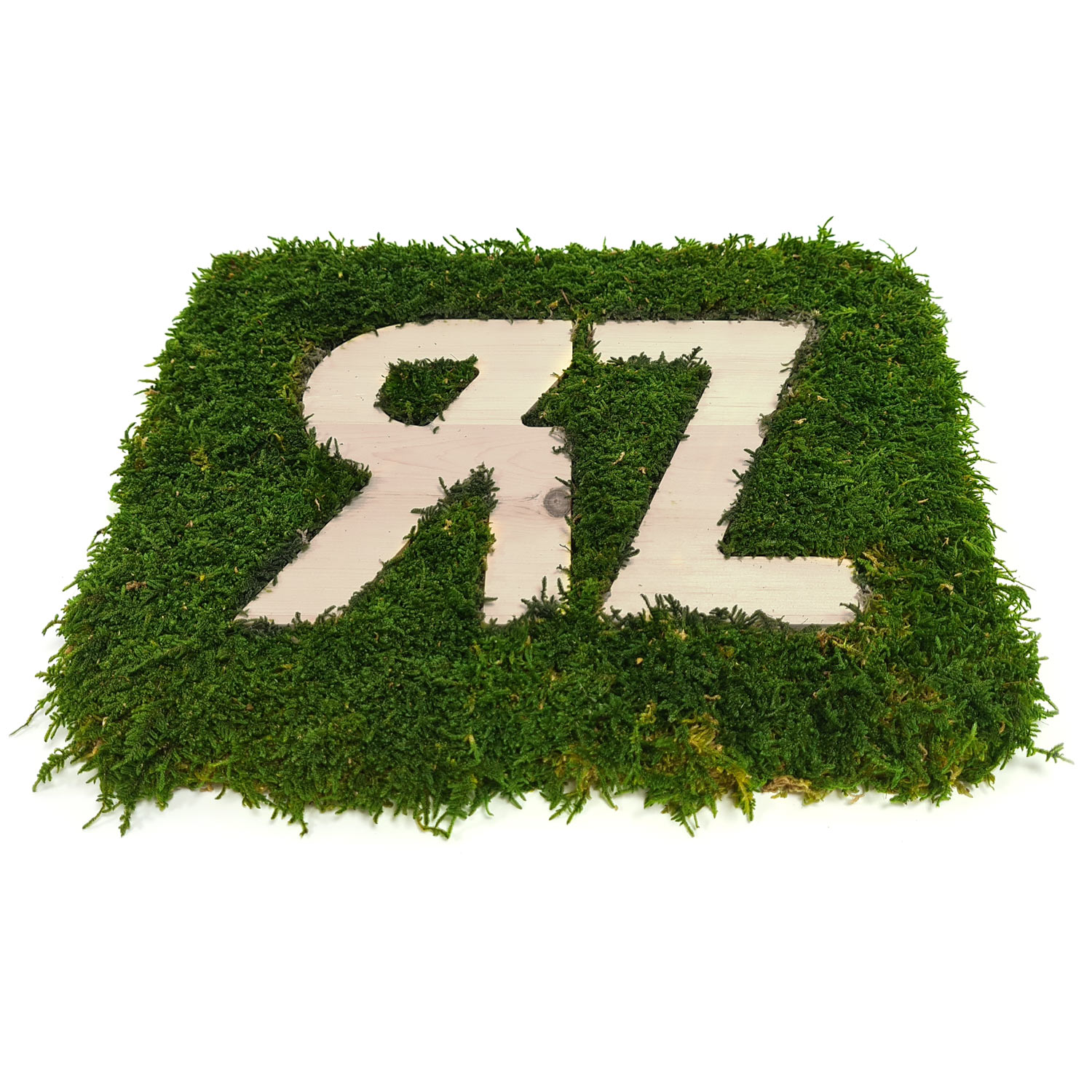 waldmoos_logo_neg_02
