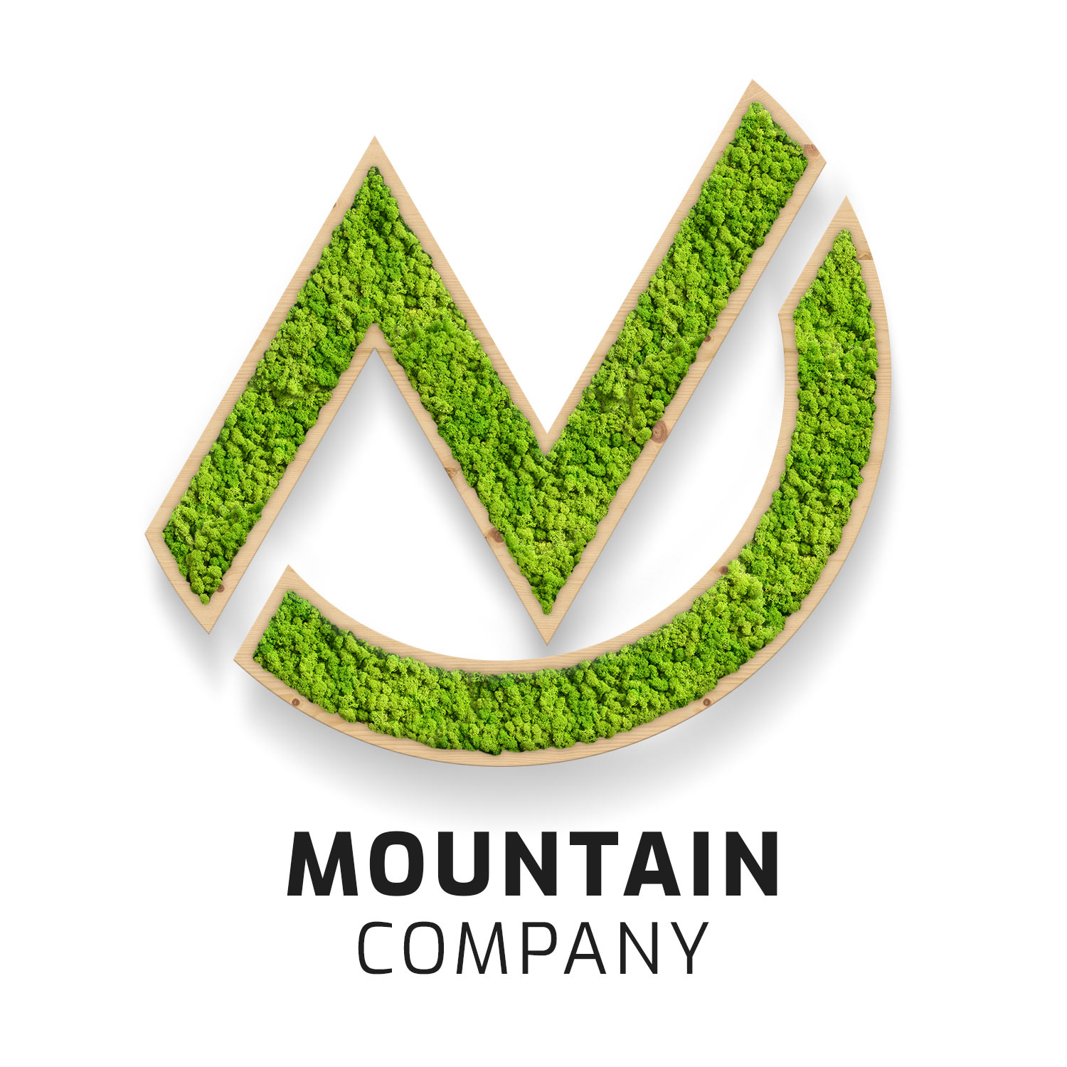 zirbe_logo_moutain_company