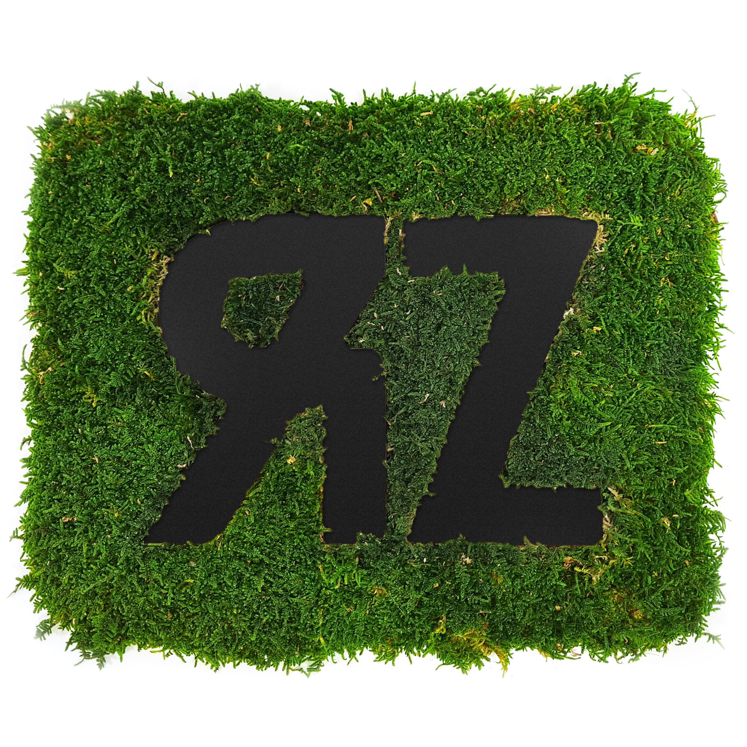 waldmoos_logo_neg_hartschaum_schwarz