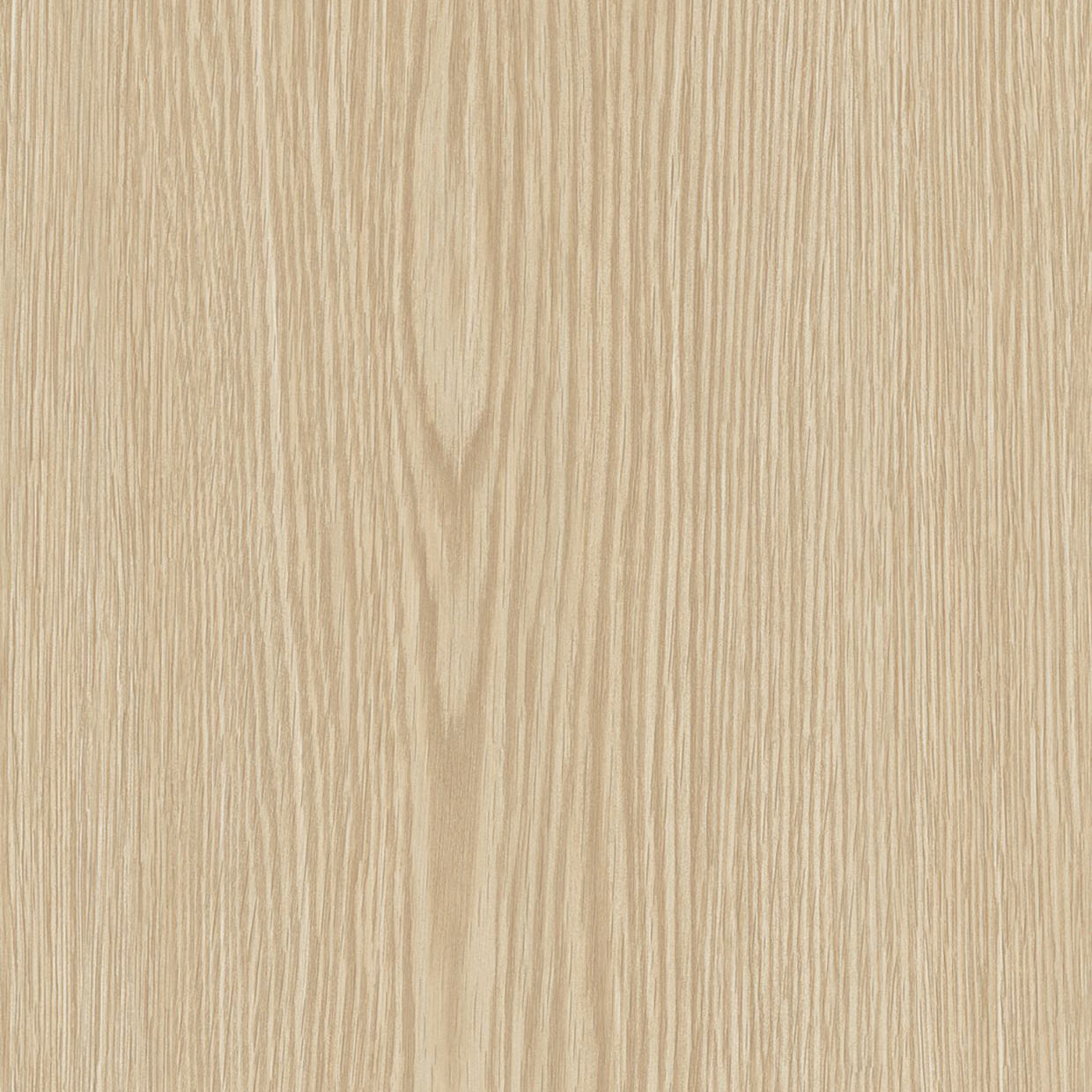 Cream Pine - AG20 Cream Pine - AG20