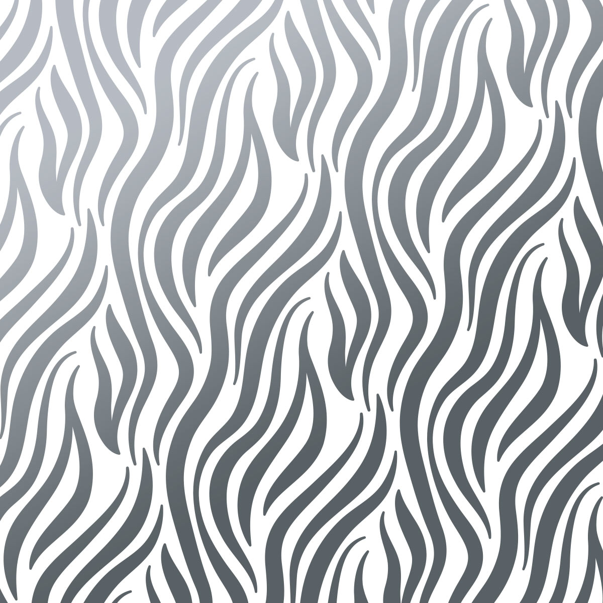 zebra_02