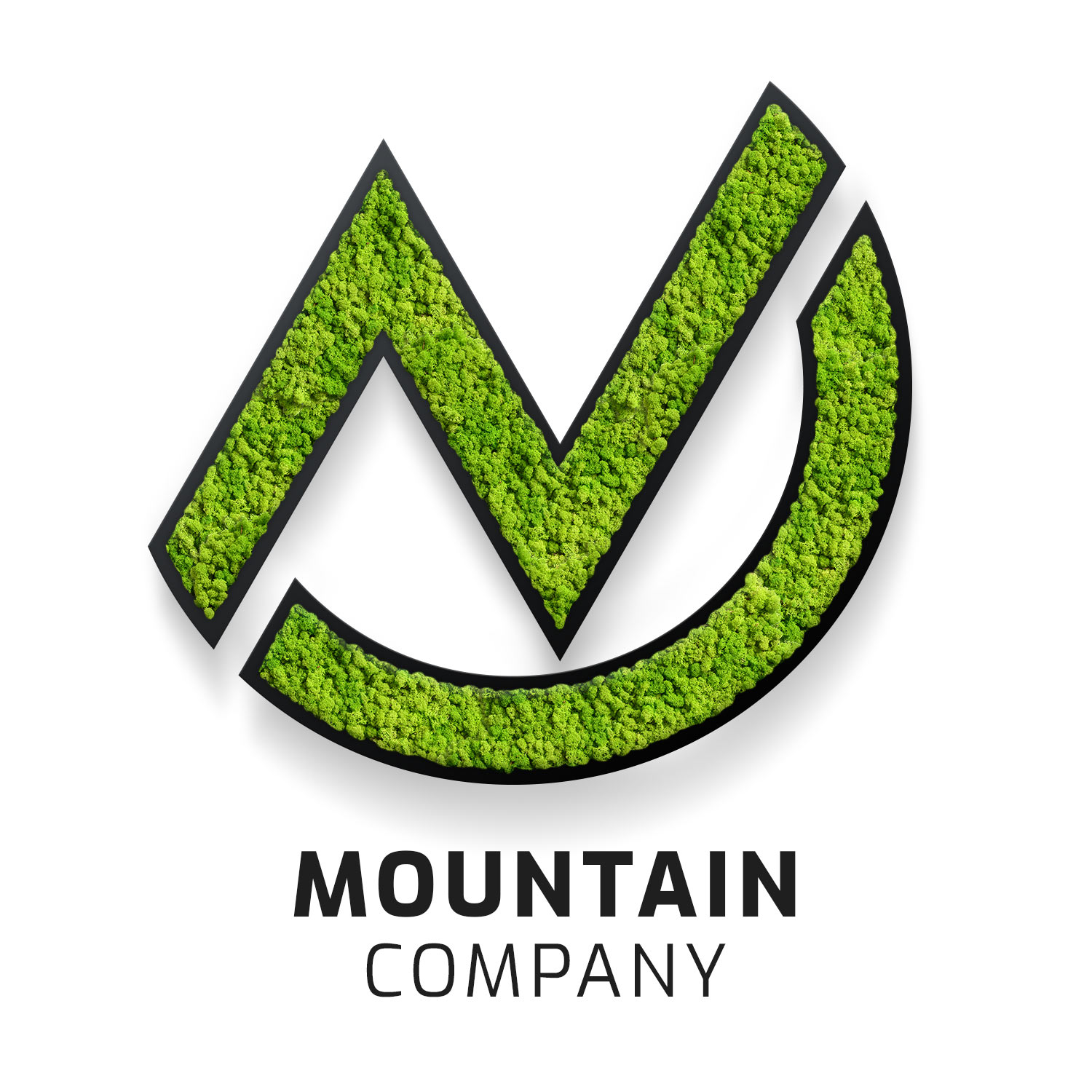 schwarz_logo_moutain_company