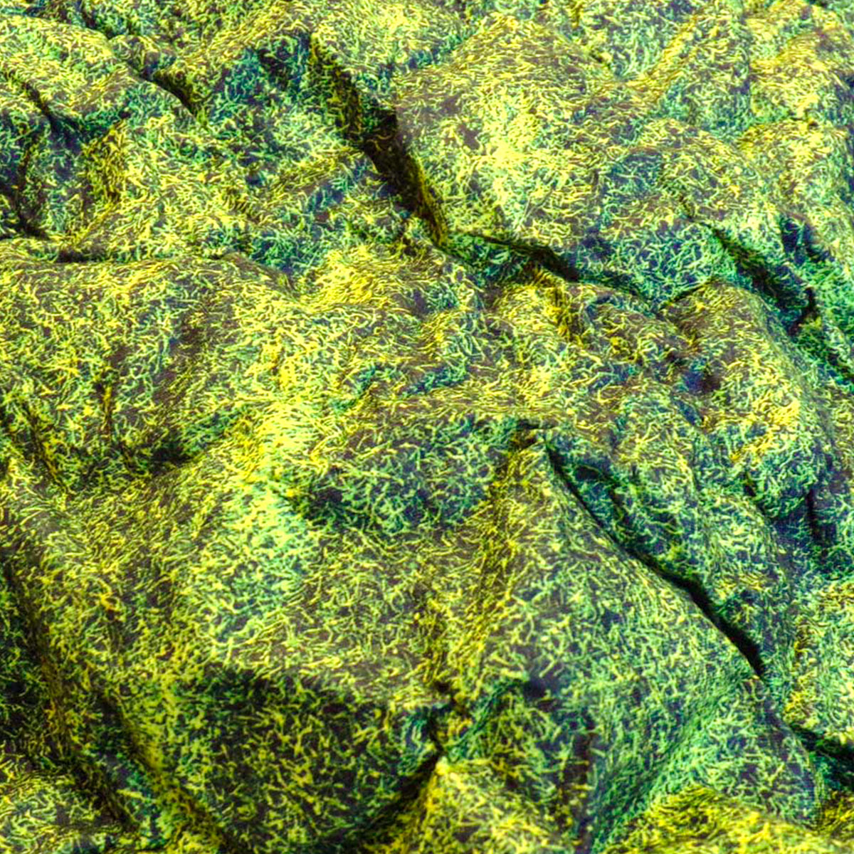 moss_03